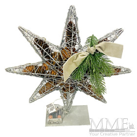 Acorn Light Up Star